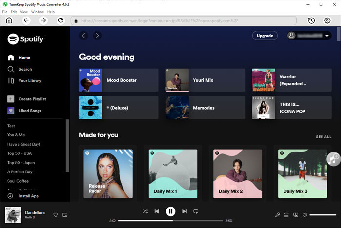 Spotify Music Converter web player